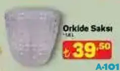 ORKİDE SAKSI 1,4 ORKİDE SAKSI 1,4